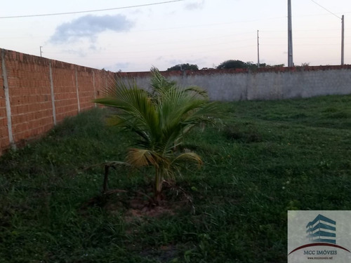 Imagem 9 de 30 de Granja A Venda São Gonçalo Do Amarante