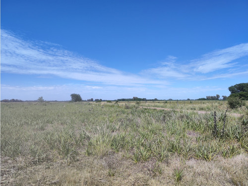 29,4 Hectareas En Cucullu San Andres De Giles
