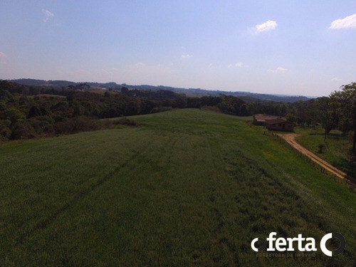 Imagem 6 de 14 de Terreno - Serrinha - Ref: 147 - V-147