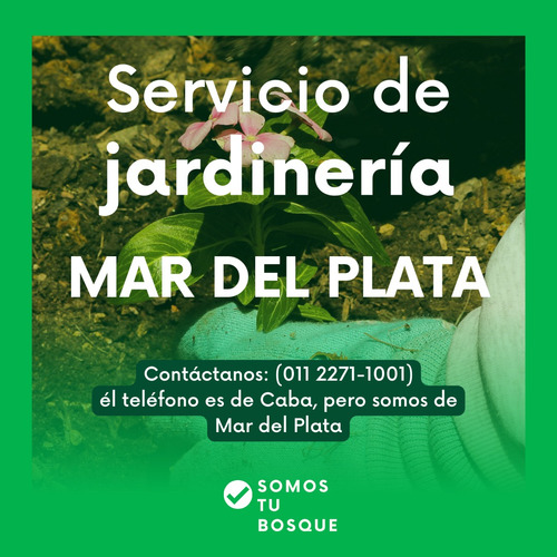 Servicio De Jardineria Mar Del Plata