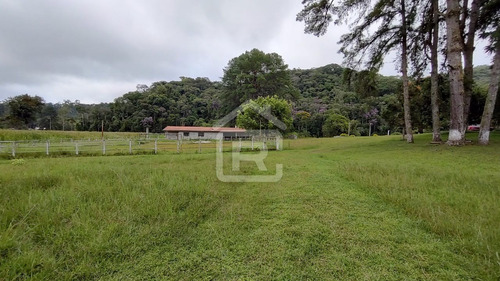 Imagem 4 de 30 de Mini Haras - 213 - 70588973