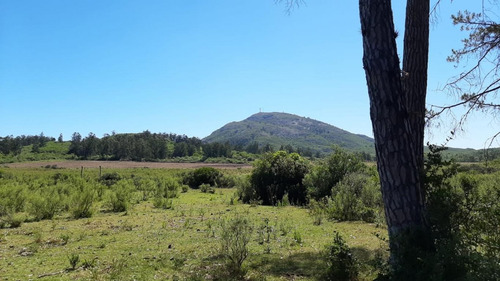 Chacra A 25km De Punta Del Este Y 10 Km De Piriápolis