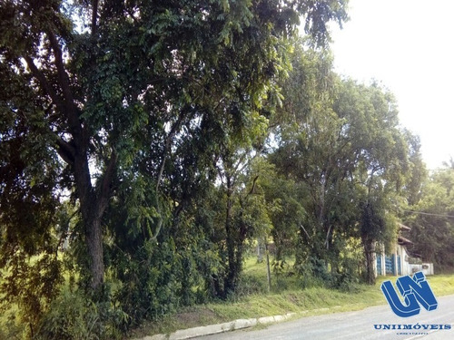 Imagem 3 de 14 de Fazenda Com 118 Tarefas Em São Sebastião Do Passé - Bahia - Afd046 - 70528054