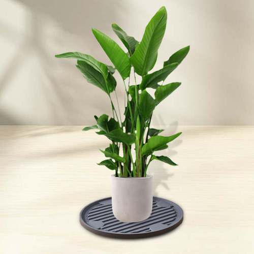 Soporte Para Con Rueda, Maceta Gris Diámetro Exterior 28cm