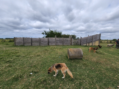Campo Sobre Ruta