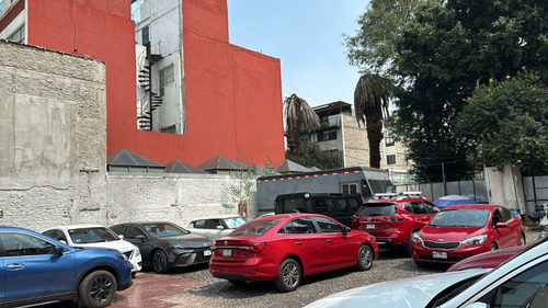 Terreno Limpio En Calle Tranquila Con Camellon De Palmeras En Colonia Narvarte