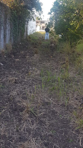 Imagen 6 de 8 de Terreno En Allende Nl