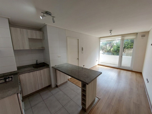 Departamento En Arriendo De 2 Dorm. En Concepción