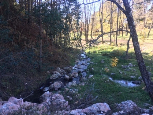 Imagen 8 de 10 de Venta De Fracción De 9 Hectáreas En Potrero De Garay, Casas Y Club De Montaña Inv0018