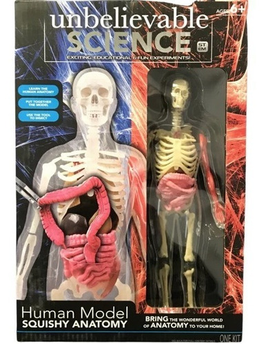 Figura Cuerpo Humano Anatomía Science Squad 22 Cm