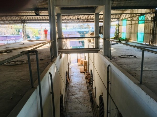 Imagen 4 de 19 de Greenwood Vende Bodega Habilitada En Calle Bombal A Metros Del Acceso Este.
