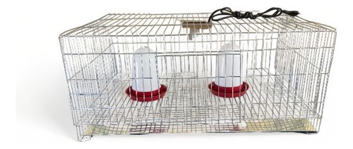 Criadeira Para Pintinhos Com Bebedor E Comedor Automático