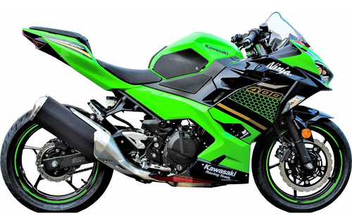 Kawasaki Ninja Actual Piel Serpiente