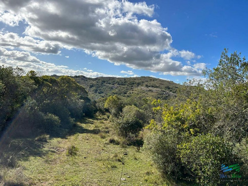 Imagen 20 de 24 de Lindo Campo Para Fraccionar, Sobre Ruta Y A Poco Mas De 1 Hora De Punta
