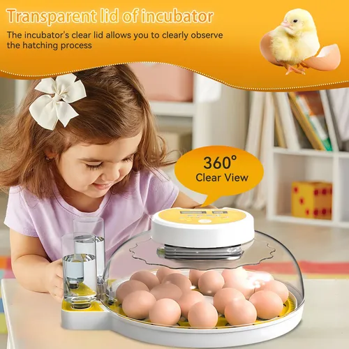 Incubadora De Huevos Incubadoras Zekoled Para Incubar De 18