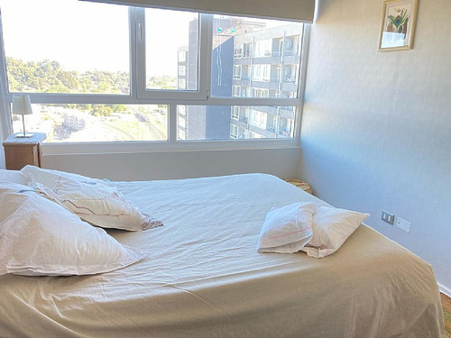 Arriendo Departamento En Concepción