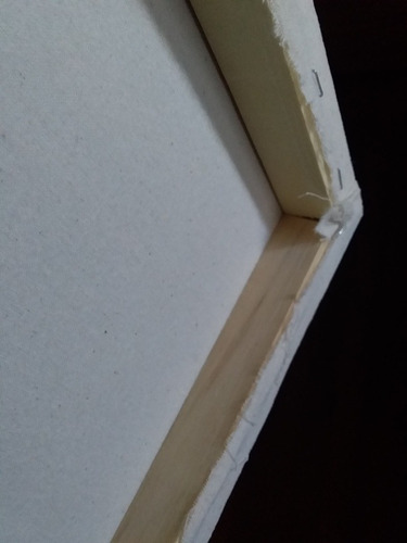 Imagen 3 de 9 de Bastidores En Lienzo Listo Para Pintar A Medida,