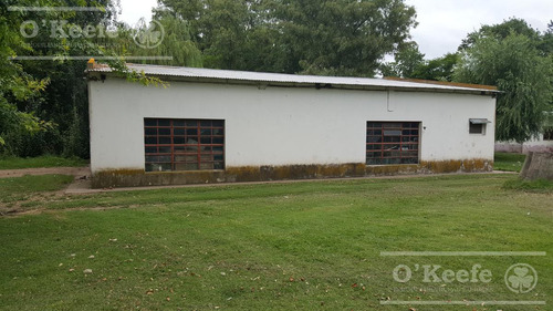 Imagen 13 de 17 de Campo En Venta 780 Has Mixto En Chascomus- 90 % Clase Iii.
