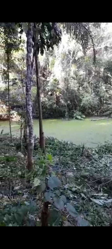 Imagem 13 de 14 de A26- Venha Viver Com Os Sons Dos Pássaros, Lote 100% Seguros