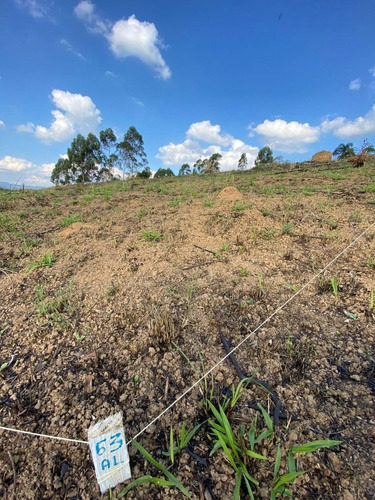 Imagem 14 de 18 de R8- Parcelamos Em 60x Sem Juros Seu Terreno Agende Sua Visita