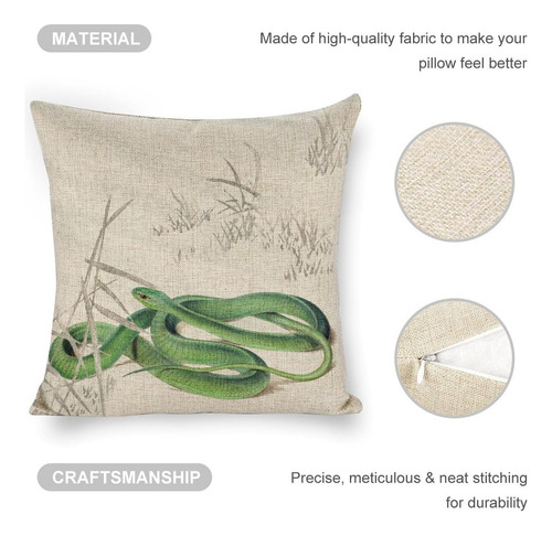 Serpiente Verde En La Hierba Thow Pillow Covers Protectores