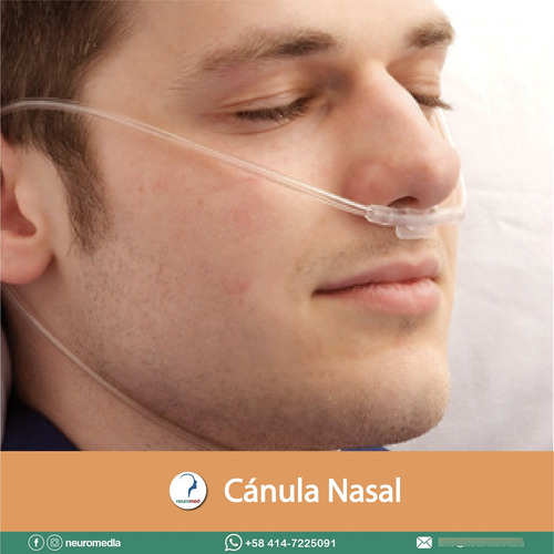 Canula Nasal Adulto