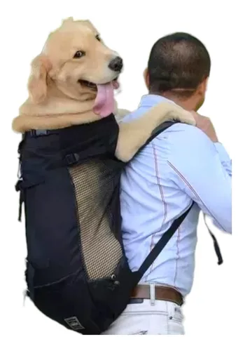 Mochilas para Perros en Moto