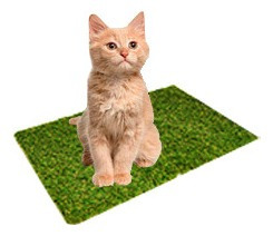 Imagem 5 de 8 de Grama Higienica P/ Pets Tapete Sintetico Lavavel Cat E Dog