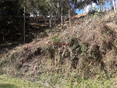 Imagem 6 de 20 de Terreno Com 443 M² Em Condomínio Em Vargem Grande. Teresópolis- Rj. - Te00281 - 34420574