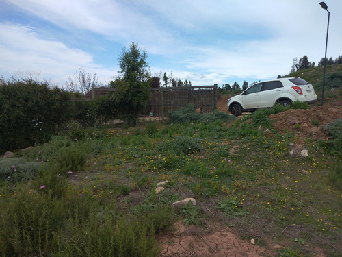 Sector Las Gaviotas