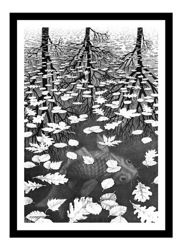 Cuadro Tres Mundos Escher 32x43 Marco Vidrio Calidad Mycarte