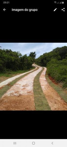Imagem 10 de 11 de Terreno Para Venda Em Garopaba, Praia Da Ferrugem - 817_2-1019990