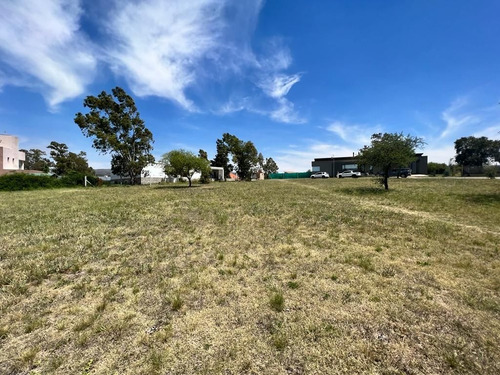 Imagen 3 de 6 de Lote En Venta De 1246.08m2 Ubicado En Touring Club