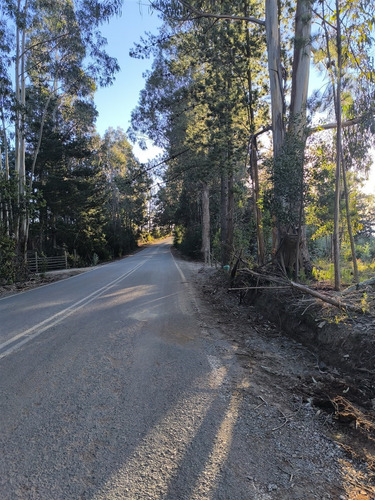 Parcelas Planas En Pichilemu, Orilla De Asfalto.