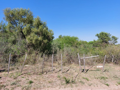 Imagen 3 de 10 de Venta De Terrenos En Las Chacras Villa De Las Rosas Traslasierra Cordoba
