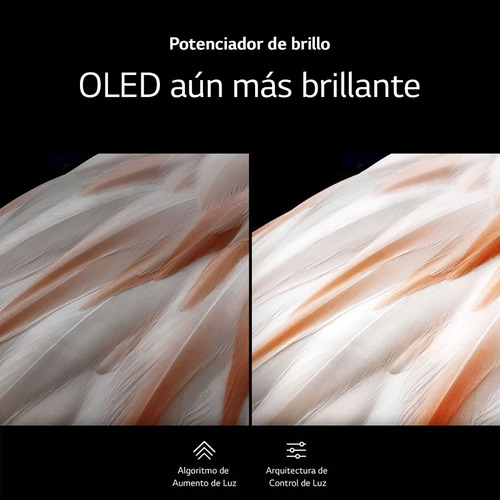 Smart Tv LG Oled Evo Thinq Ai 55'' 4k 55c3psa Uhd Webos 23