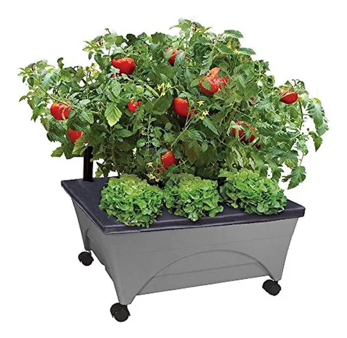 comprar Emsco Group City Picker Raised Bed Grow Box Self Watering An
