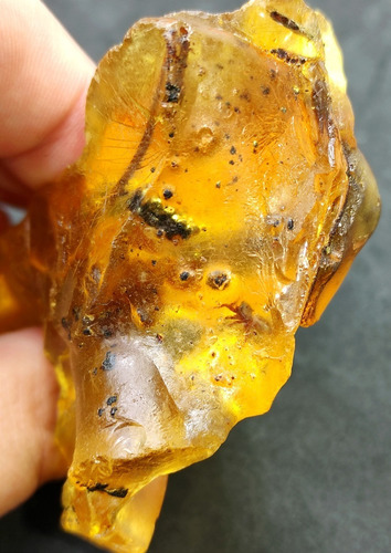 Espécimen Resina Copal Con Inclusión Araña Y Una Hoja Ámbar