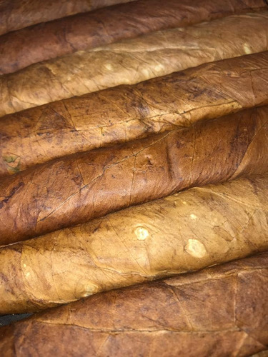 Imagen 4 de 4 de Puro De Tabaco Elaborado A Mano.