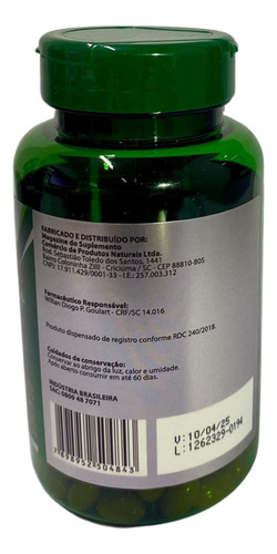 Suplemento Fol Active+fe+b12 250mg 60cáps Macrophytus