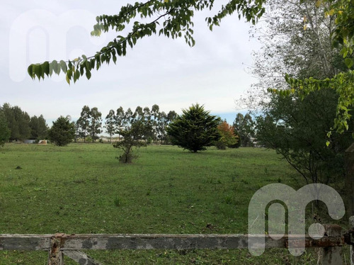 Imagen 9 de 12 de Terreno - City Bell