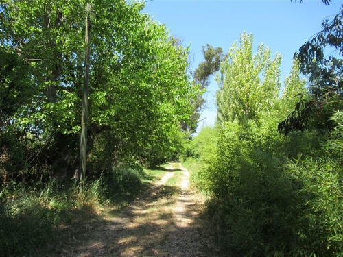 Imagen 2 de 16 de Sitio Con Acceso A Estero Puangue