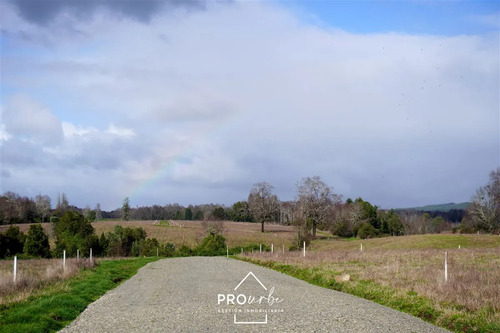 Terreno 5.000 M2 En Venta En Paillaco
