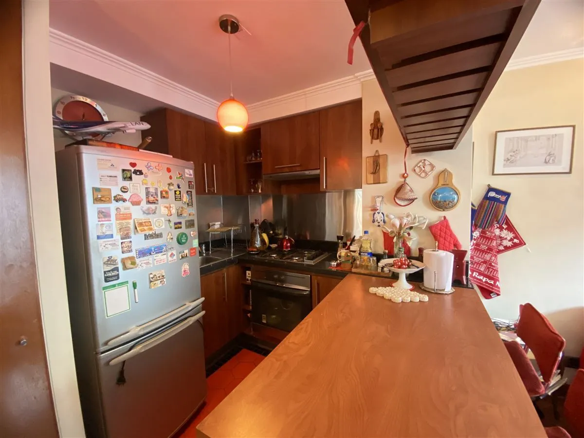 Imagen 3 de 15 de Departamento En Venta En Providencia