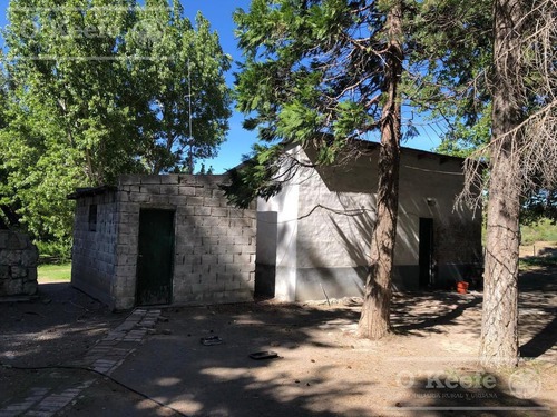 Imagen 12 de 28 de 8.805 Has En Neuquen Venta / Alquiler, Con 18 Km De Costa Del Embalse Piedra Del Águila.