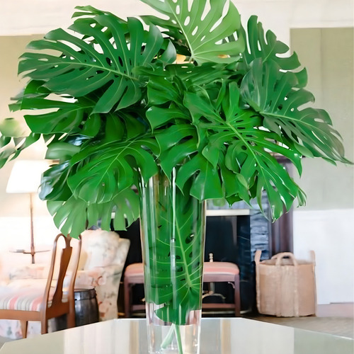 Kit 12 Folhas Mini Costela De Adão Artificial Decorativa Top