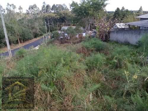 Imagem 5 de 6 de Terreno Com 500,50m² Em Quatro Barras - Te00021 - 32917423