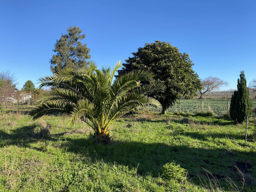 Parcela Con Casa De 2,3 Has (73459)