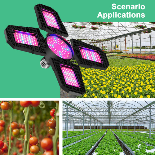 Lámpara De Crecimiento Grow Growing Light Lights Para Planta