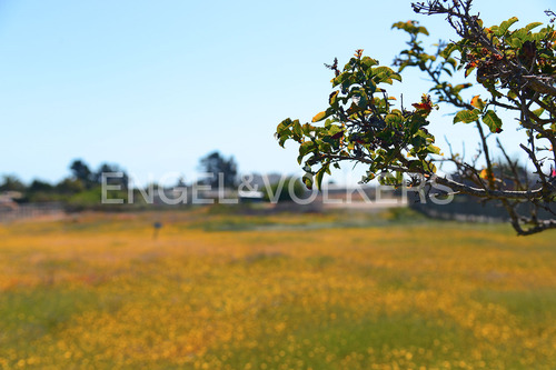 Sitio Plano 2200m2 Urbanizado.